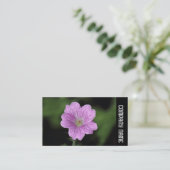 Zijband - Geranium Endressii Visitekaartje (Staand voorkant)