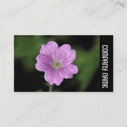 Zijband - Geranium Endressii Visitekaartje (Voorkant)