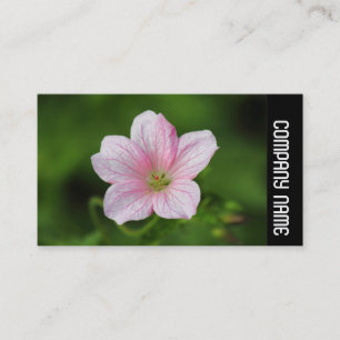 Zijband - Geranium Visitekaartje
