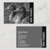 Zijband - Greylag Geese B&W Visitekaartje (Voorkant / Achterkant)