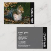 Zijband - Grijze eekhoorn Visitekaartje (Voorkant / Achterkant)