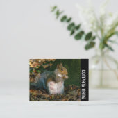 Zijband - Grijze eekhoorn Visitekaartje (Staand voorkant)