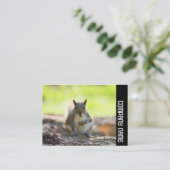 Zijband - Grijze eekhoorn Visitekaartje (Staand voorkant)