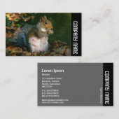 Zijband - Grijze eekhoorn Visitekaartje (Voorkant / Achterkant)