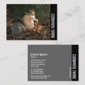 Zijband - Grijze eekhoorn Visitekaartje (Voorkant / Achterkant)