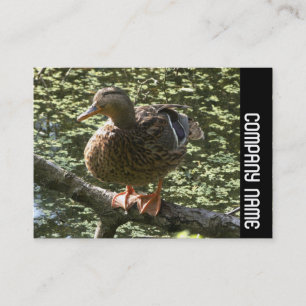 Zijband - Happy Duck Visitekaartje