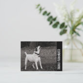 Zijband - hond visitekaartje (Staand voorkant)