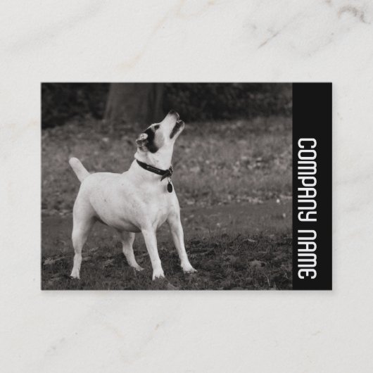Zijband - hond visitekaartje (Voorkant)