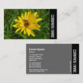 Zijband - Hover Fly on a Yellow Chrysanthemum Visitekaartje (Voorkant / Achterkant)