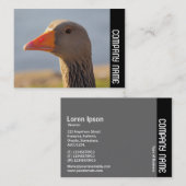 Zijband - Inquisitief gans Visitekaartje (Voorkant / Achterkant)