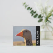 Zijband - Inquisitief gans Visitekaartje (Staand voorkant)