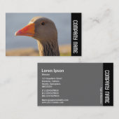 Zijband - Inquisitieve Greylag Goose Visitekaartje (Voorkant / Achterkant)