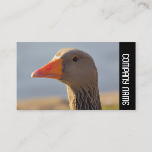 Zijband - Inquisitieve Greylag Goose Visitekaartje