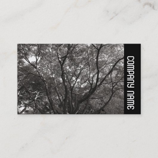 Zijband - Japanse bijkantoren 02 Visitekaartje (Voorkant)