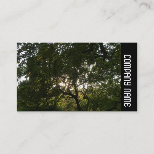 Zijband - Japanse bijkantoren 04 Visitekaartje (Voorkant)