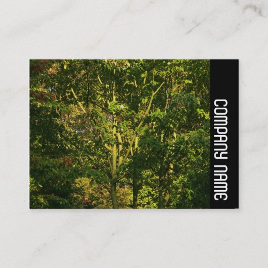 Zijband - Japanse bijkantoren 05 Visitekaartje (Voorkant)