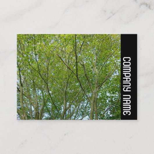 Zijband - Japanse mantel Visitekaartje (Voorkant)