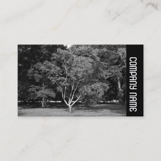 Zijband - Magnolia Tree BW Visitekaartje (Voorkant)