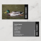 Zijband - Mallard Duck Visitekaartje (Voorkant / Achterkant)