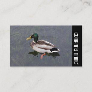 Zijband - Mallard Duck Visitekaartje