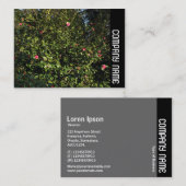 Zijband - Rode Camellia-Struik Visitekaartje (Voorkant / Achterkant)