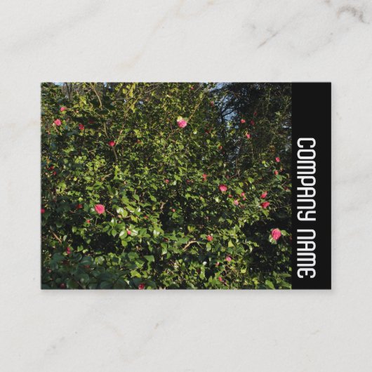 Zijband - Rode Camellia-Struik Visitekaartje (Voorkant)