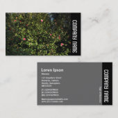 Zijband - Rode Camellia-Struik Visitekaartje (Voorkant / Achterkant)