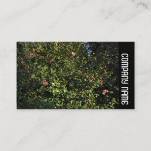 Zijband - Rode Camellia-Struik Visitekaartje