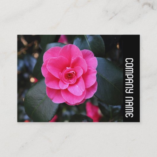 Zijband - Roze Camellia Visitekaartje (Voorkant)