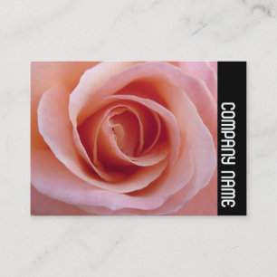 Zijband - Roze Rose Visitekaartje