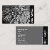 Zijband - Sedum "Autumn Joy" Visitekaartje (Voorkant / Achterkant)