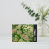 Zijband - Sedum "Autumn Joy" Visitekaartje (Staand voorkant)