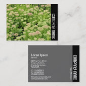 Zijband - Sedum (herfst Joy) Visitekaartje (Voorkant / Achterkant)