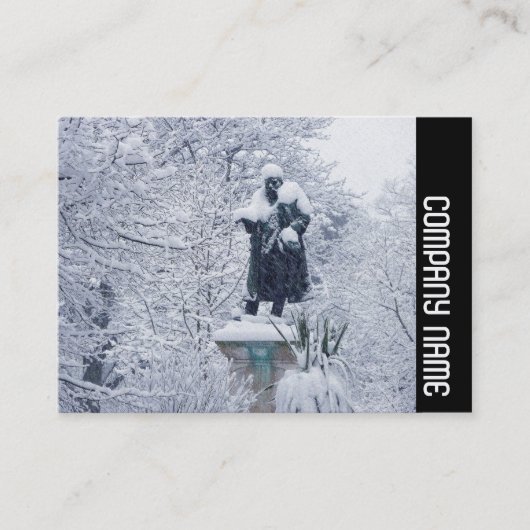 Zijband - sneeuw in het park visitekaartje (Voorkant)