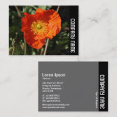 Zijband - Welsh Poppy (Oranje) Visitekaartje (Voorkant / Achterkant)