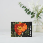 Zijband - Welsh Poppy (Oranje) Visitekaartje (Staand voorkant)