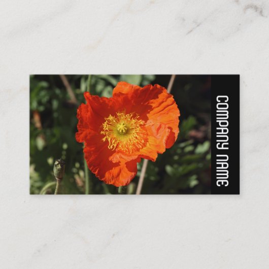 Zijband - Welsh Poppy (Oranje) Visitekaartje (Voorkant)