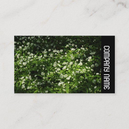 Zijband - Wilde knoflook Visitekaartje (Voorkant)