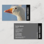 Zijband - Witte gans Visitekaartje (Voorkant / Achterkant)