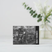 Zijband - Zomer in de Bossen Visitekaartje (Staand voorkant)