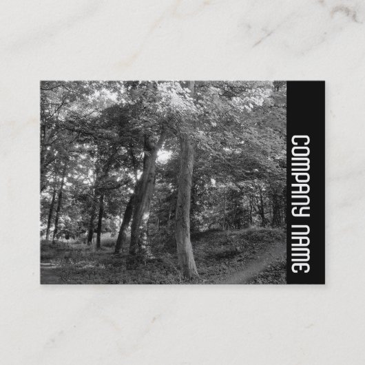 Zijband - Zomer in de Bossen Visitekaartje (Voorkant)