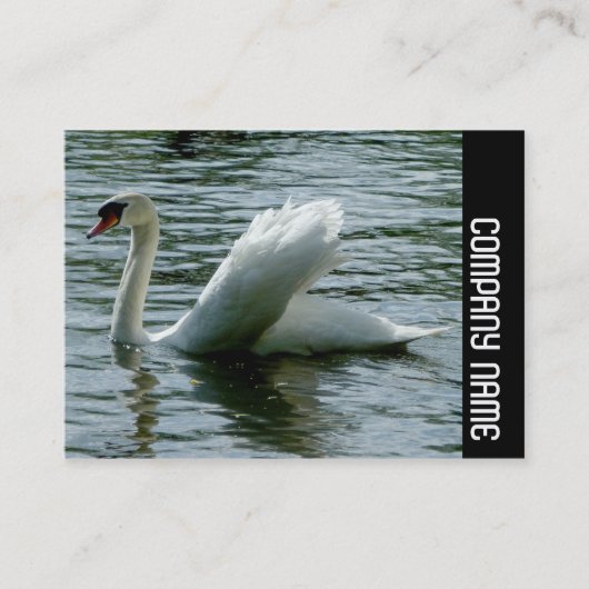 Zijband - Zwaan Visitekaartje (Voorkant)