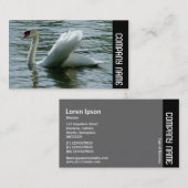 Zijband - Zwan Visitekaartje (Voorkant / Achterkant)