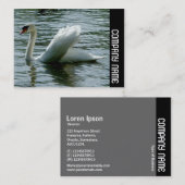 Zijband - Zwan Visitekaartje (Voorkant / Achterkant)