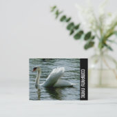 Zijband - Zwan Visitekaartje (Staand voorkant)