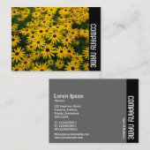 Zijband - Zwarte-ogen Susans (Rudbeckia Hirta) Visitekaartje (Voorkant / Achterkant)