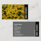 Zijband - Zwarte-ogen Susans (Rudbeckia Hirta) Visitekaartje (Voorkant / Achterkant)