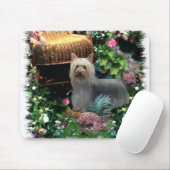 Zijdeachtige Terriër Kunst Cadeaus Muismat (Met muis)