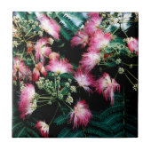 zijdeboom tegeltje (Voorkant)