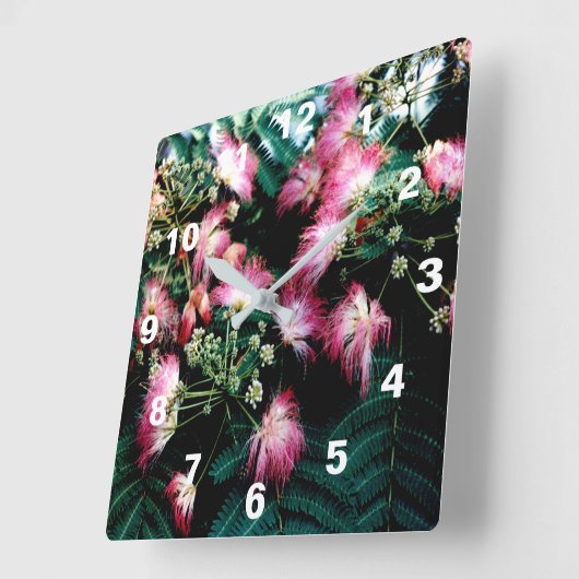 zijdeboom vierkante klok (Hoek)